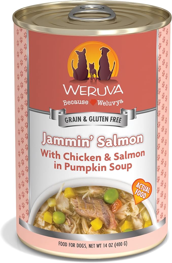 Weruva Classic Dog Food, Jammin' Salmon with Chicken & Salmon in Gravy, 14oz Can (Pack of 12), Red (Jammin’ Salmon)