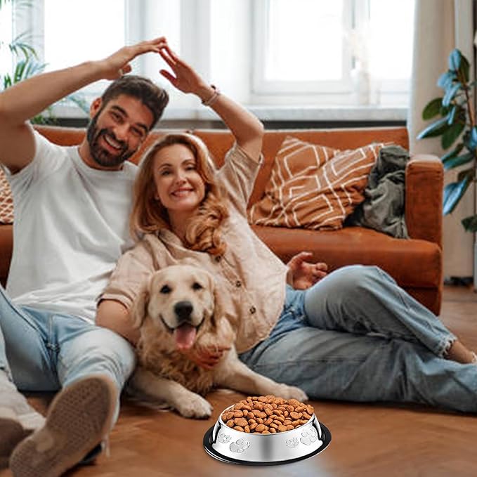 10 Pcs Stainless Steel Dog Bowl Pet Feeding Bowl with Rubber Base Non-Slip Pet Dishes Metal Dog Bowls Pet Food and Water Bowls for Small Medium Animals Kitten Rabbit (30 oz)