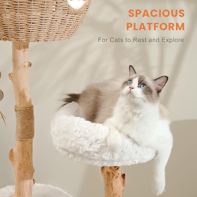 Cat Tree Tower with Two Real Branches, 44 INCH Wood Modern Cat Tower with Luxury Cat Condo, Cat Scratching Post, Jumping Platforms, Cat Furniture (Short Plush)