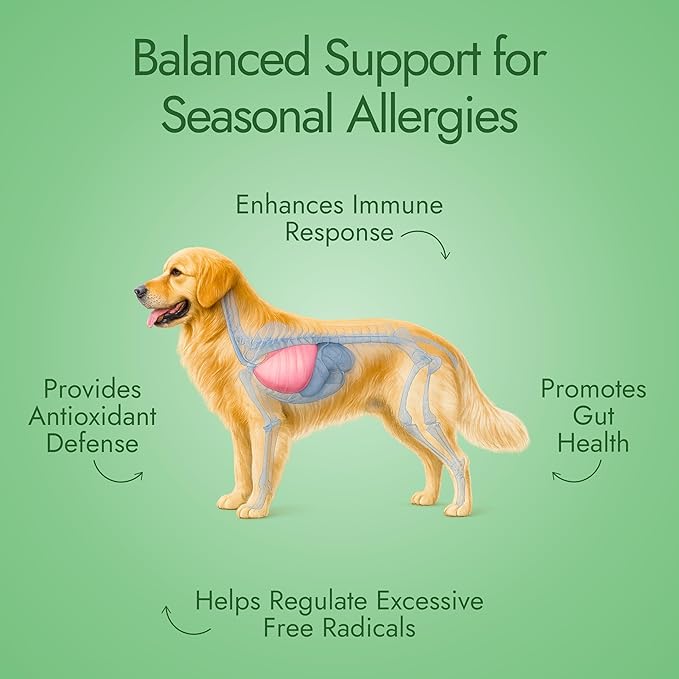 Pet Vet Allergy Relief Chews for Dogs (Beef Liver) – Itchy Skin Relief for Dog Allergies – Skin Irritation Treatment, Allergy Chews, Pet Probiotics – Dog Health