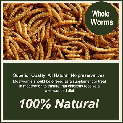 Adaman Dried Mealworms -10 LBS- 100% Natural Non GMO High Protein Mealworms - Bulk Meal Worms for Chickens & Birds, Ducks - Best Chicken Treats, Bird Food, Turtle Food