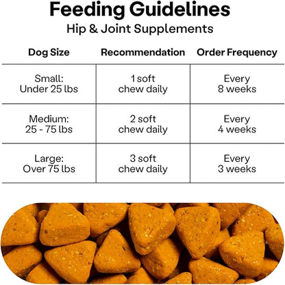 Wild Earth Dog Supplements, Soft Chews for Hip & Joint Support, with Omega 3 Fatty Acids & Anti-inflammatory Turmeric, Veterinarian-Developed, Vegan