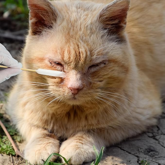 100 Pcs Long Cotton Swab for Dogs Ears – 6-Inch Long Cotton Swab with Bamboo Handle for Dog Ear Cleaning, Pet Wound Care, Makeup Touch Ups, Craft Projects, and Cleaning Electronics