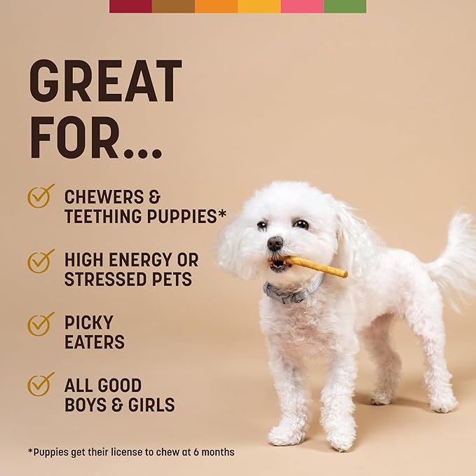 Earth Animal No-Hide Stix Peanut Butter Recipe Natural Rawhide Alternative Dog & Cat Chews - 20 Count Value Pack