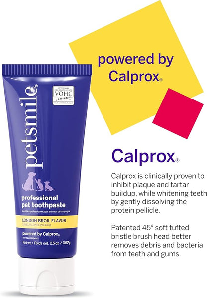 Petsmile Professional Pet Teeth Brushing Kit for Cats & Dogs - Only VOHC Accepted Toothpaste & Patented Toothbrush - Proven to Control Plaque & Tartar Calprox Formula (London Broil, 2.5 Oz)