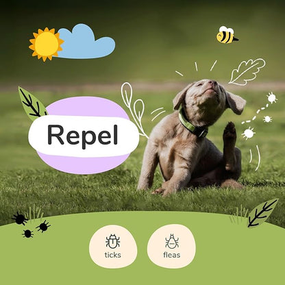 kin+kind | Plant-Based Flea and Tick Spray for Dogs (12 fl oz) | Lavender