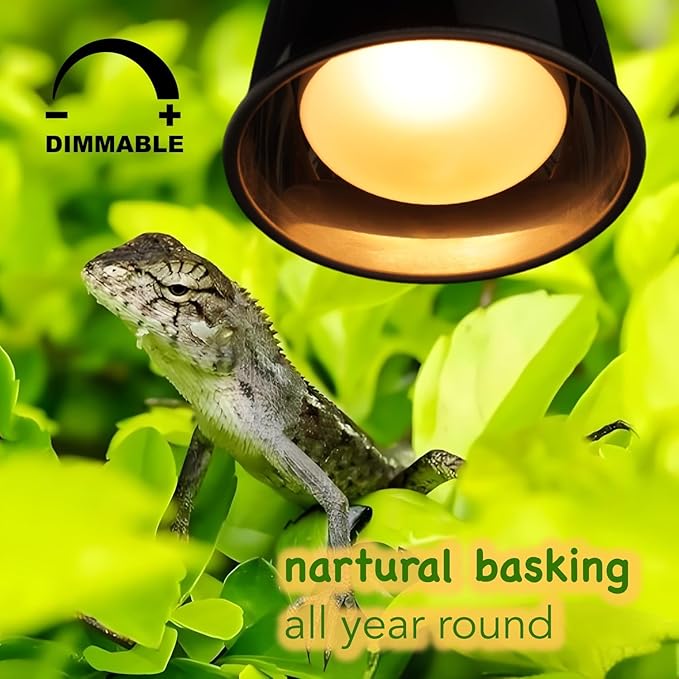 100W 2-Pack Reptile Basking Heat Bulb - UVA Daylight Heat Lamp for Bearded Dragons, Turtles, Snakes, Lizards & Amphibians - Provides Infrared Heat Output & Sunlight Simulation Heating Light