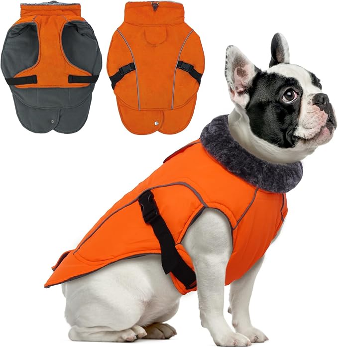 DENTRUN Medium Dog Winter Jacket - Warm Reflective Windproof Coat, Adjustable Neck & Snap Closure, Water Repellent Thick Fleece Vest, Fleece Lined for Beagle Pug, Orange, M