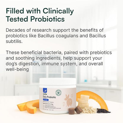 Wuffes Daily Probiotic for Dogs - Supports Digestive Health, Gut Balance, and Immune System - with Prebiotics, Marshmallow Root, and Pumpkin Powder (120 Chews (Pack of 2))