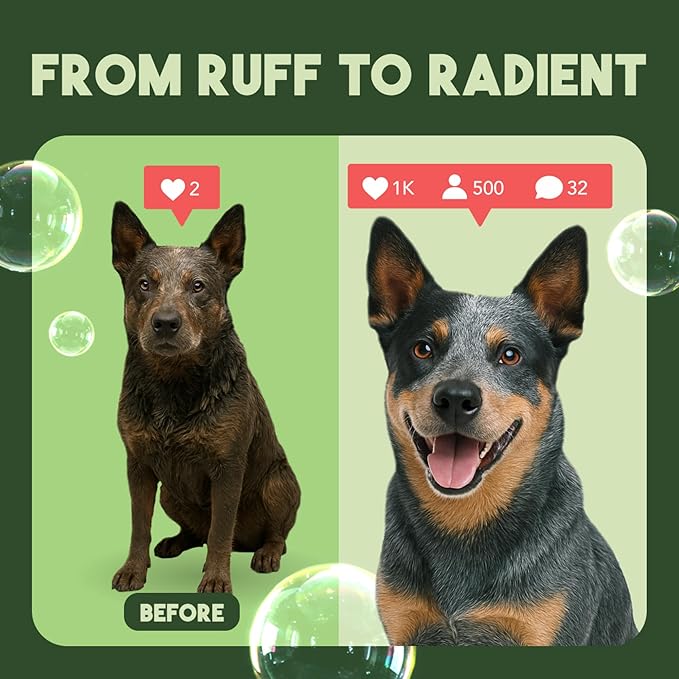 TropiClean Deodorizing Dog Shampoo for Smelly Dogs, Powerful Odor Control, Puppy Safe, Made in the USA, Aloe & Coconut Scent, Cat Friendly, 20oz.