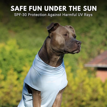 Spark Paws Sunblock Dog T-Shirt, SPF30 Protection, Lightweight Breathable Quick Dry for Dogs with Sensitive Skin - Blue & Mint (Set of 2) - 2XL