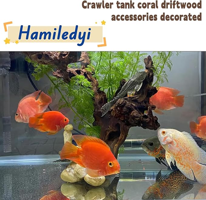 Hamiledyi Aquarium Driftwood 3PCS Natural Trunk Driftwood Assorted Branches 8-12" Reptile Wood Decor Terrarium Ornament Fish Tank Decoration