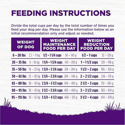 Wellness Complete Health Sensitive Skin & Stomach Dry Dog Food, Wholesome Grains, Natural, Salmon & Rice Recipe, (5-Pound Bag)