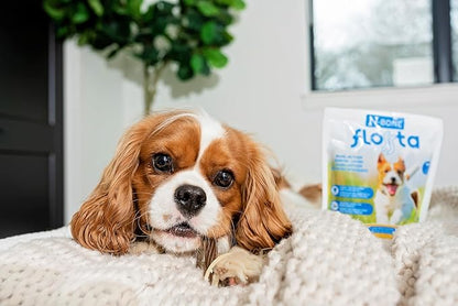 N-Bone FLOSSta Dental Chews for Dogs – Natural Beef Liver Flavor, No Dyes, Grain-Free, Breath Freshening, Plaque & Tartar Control, Digestible Teething Aid – 12 oz Bag