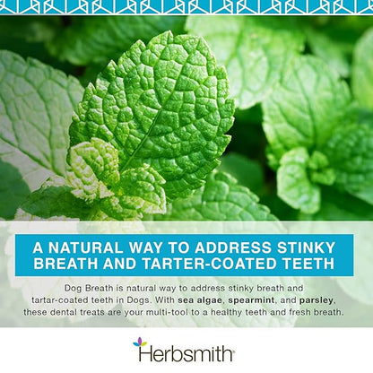 Herbsmith Dog Breath - Dog Dental Care Solution - Natural Dog Breath Freshener That Tackles Tartar - Dental Powder for Dogs - 500g Powder
