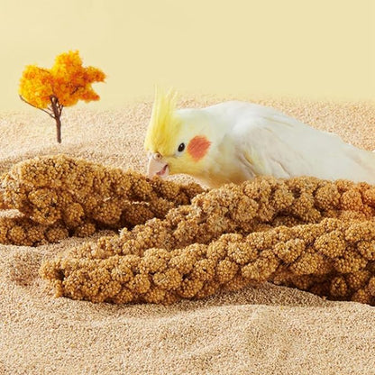 1.1LB Vacuum Sealed Spray Millet Treat for Birds Parakeets, Natural Sun-Dried Birds Millet for Cockatiel, Budgie, Finches, Parrots, Hamster(500 Gram)
