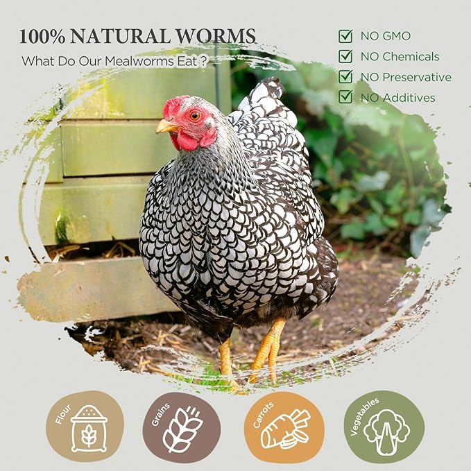 Dried Mealworms for Birds, Non-GMO High Protein Chicken Treats & Poultry Feed, 5 lb Bag