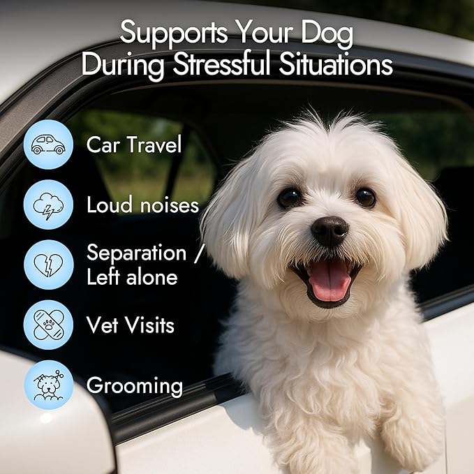 Pet Vet Calming Chews for Dogs – Dog Anxiety Relief (Beef Liver Flavor 60 Chews) – Stress Relief, Dog Supplements for Hyperactive & Anxious Dogs – Dog Anxiety Chews for Relaxation, Dog Care Products