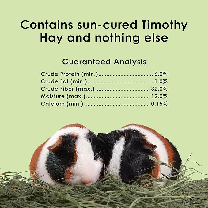 Kaytee Timothy Hay, High Fiber, Grown Specifically for Small Animals, Rabbits, Guinea Pigs, Chinchillas, 48 Ounces