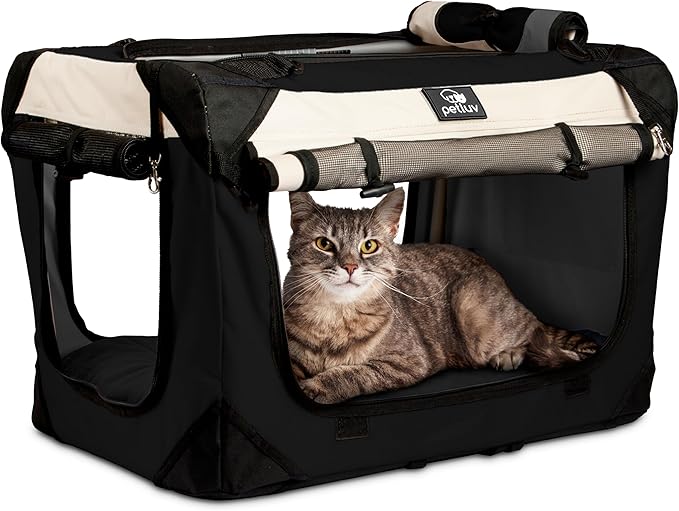Medium Cat Carrier & Dog Carrier for Most Cats or Small Dog. Soft Sided Pet Carrier for Travel. Collapsible, Portable with Soft Bed, Top & Side Loading, Locking Zippers, Puppy Crate & Kennel