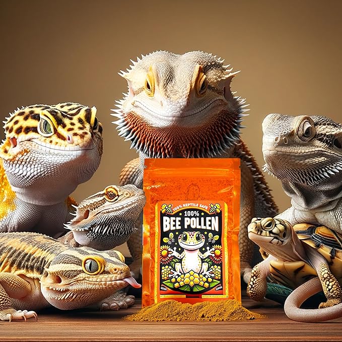 100% Bee Pollen Powder - Food for Reptiles