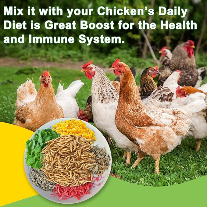 5LB Dried Black Soldier Fly Larvae Treat for Chicken, 100% Natural Non-GMO More Calcium Than Dried Mealworms High Protein Chicken Feed for Birds, Ducks, Layer Hens