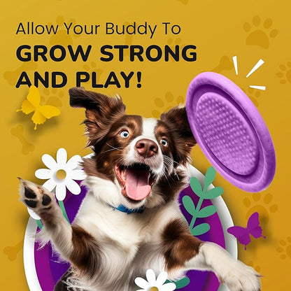 Hip and Joint Supplement for Dogs - Glucosamine Chondroitin for Dogs - Extend Joint Care, Flexibility Support & Bone Strength - With MSM, Hyaluronic Acid, Vitamin B12, B6, B1 & More - 16 Fl Oz