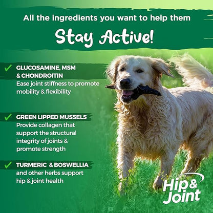 Vital Planet - Hip and Joint Soft Chews for Dogs, with Glucosamine, MSM, and Collagen from Green-Lipped Mussel - 30 Bacon Flavored Soft Chews