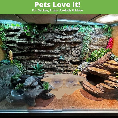 Mushroom Decor for Reptile Tank, Fish Tank, Pet-Safe Bearded Dragon Tank Accessories, Realistic Terrarium Plants for Leopard Geckos, Crested Geckos, Tree Frogs, Snakes (Almond, Trio Cap)