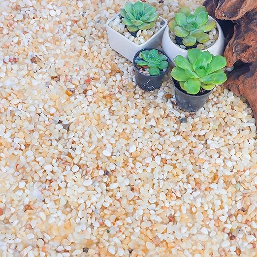 18lb Aquarium Gravel for Plants,1/5 Inch Natural Decorative River Rocks for Succulent and Cactus Landscaping, Natural Small Rocks for Fish Tanks, Vases & Terrariums