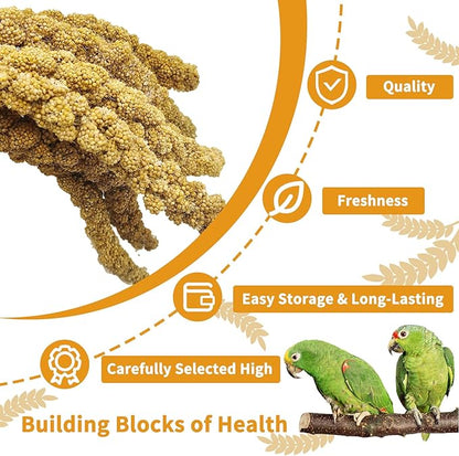 kathson Spray Millet Treat Sun-Dried Bird Millet Parakeet Treats for Budgies Finches Cockatiels Parrots Lovebird Hamster Other Pet Birds 0.44LB