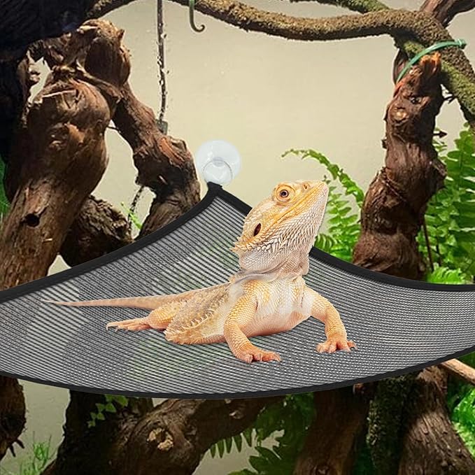 kathson Reptile Bridge for Terrarium,Bearded Dragon Wooden Bridges Gecko Hammock with Hanging Plants Lizard Lounger Bamboo Ladder Reptiles Tank Accessories Climbing for Chameleons Geckos Snakes (3Pcs)