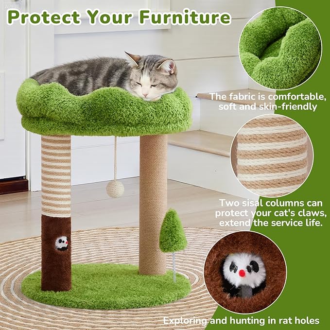 Small Cat Tree with Perch Cat Bed and Removable Cover 23 inch Tall Cat Tower with 2 Scratching Sisal Scratching Posts and Cat Toys for Kittens and Adult Cats（Green）