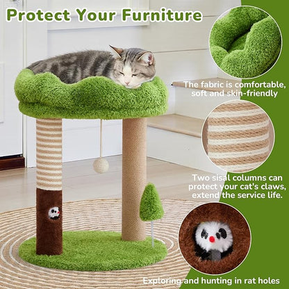 Small Cat Tree with Perch Cat Bed and Removable Cover 23 inch Tall Cat Tower with 2 Scratching Sisal Scratching Posts and Cat Toys for Kittens and Adult Cats（Green）