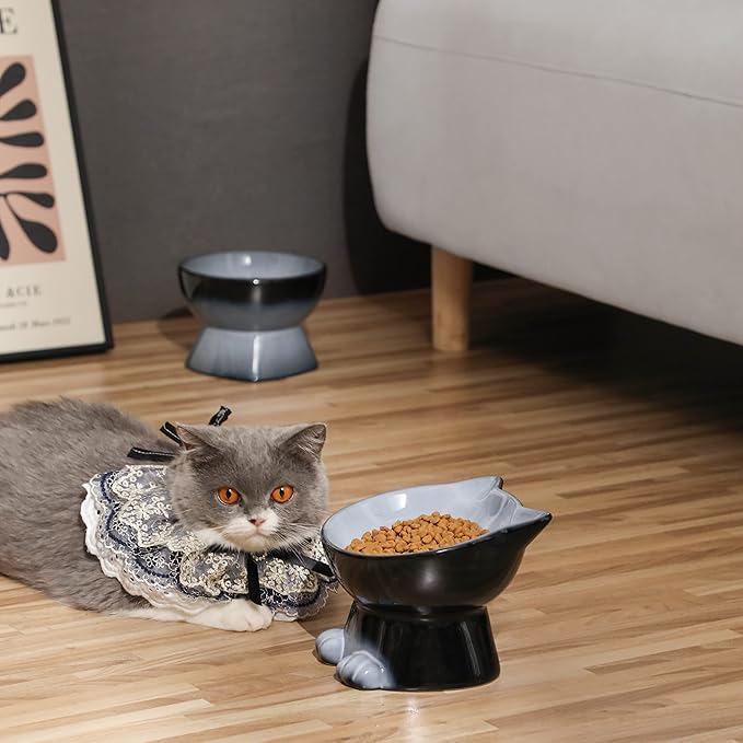 Nihow Elevated Cat/Dog Bowls Set : 6.2 Inch Ceramic Raised Cat Food & Water Bowl Set for Protecting Pet's Spine - Feeding & Watering Supplies for Cat/Small Size Dog - Elegant Gray(2PC)