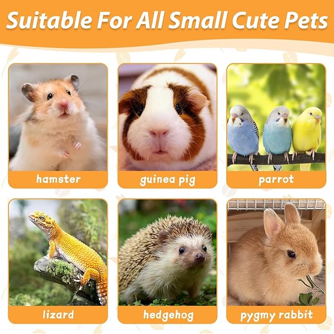 kathson Rabbit Hammock Swing 15.7 x 15.7 inch Rabbit Natural Seagrass Activity Zone Mat Guinea Pig Hammock Bunny Chew Toys for Small Animal Ferret Parakeet Bearded Dragon Chinchilla