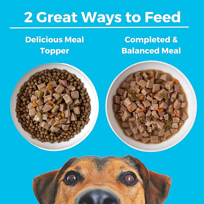 KOHA Greek Island Grill Stew for Dogs with Chicken and Lamb, High Protein Wet Dog Food, 12.7oz Cans (Case of 12)