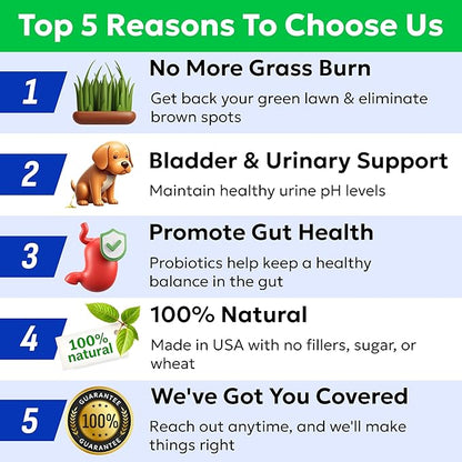 BARK&SPARK Green Grass Chews - Dog Pee Grass Spot Saver Caused by Dog Urine - Urine Neutralizer for Lawn, Gut Health Probiotics & Enzymes, Lawn Burn from Pee, Grass Burn Spot Chews Rocks