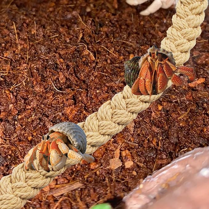 kathson 2 PCS 26 Inches Hermit Crab Climbing Toys,Reptile Vines Toy Hermit Crab Rope Ladder Bendable Hermit Crab Supplies Tank Terrarium Accessories for Hermit Crabs Lizards Leopard Geckos