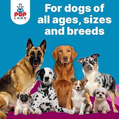 K9 Belly Bliss, All-Natural Gut Health for Dogs, Vet Approved Prebiotic for Dogs for Daily Digestive Support & Dog Constipation Relief, Topper for Dry & Wet Food, 3 Pack with 30 Scoops Each.