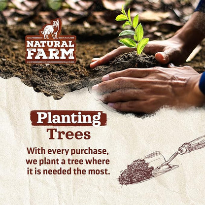 Natural Farm Odor-Free Bully Sticks (4”, 8oz) All-Natural Long-Lasting Chews, 100% Beef Pizzle, Grass-Fed, Grain-Free, Hormone-Free, Protein for Muscle Development & Energy, Perfect for Small Dogs