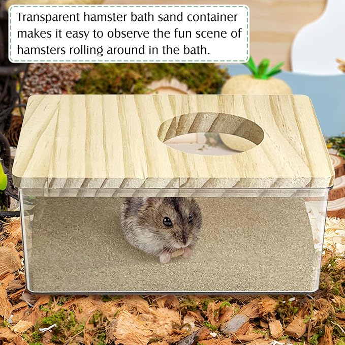 kathson Hamster Sand Bath Box Transparent Gerbil Bathroom & Digging Box Acrylic Small Syrian Hamster Litter Box Hamster Dust Bath Container Cage Accessories for Lemming Mice (Small Rectangle)