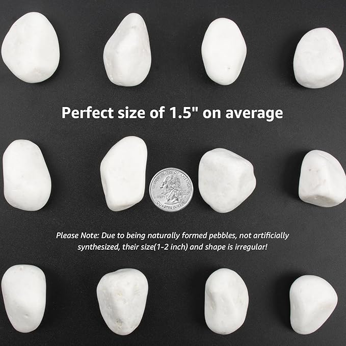 10lbs White River Rocks, Polished Pebbles for Plants, Garden, 1-2 Inch Decorative Stones, Ideal for Fish Tanks, Vases, Crafting, and Landscaping (Weight : 10 LB, Pure White)