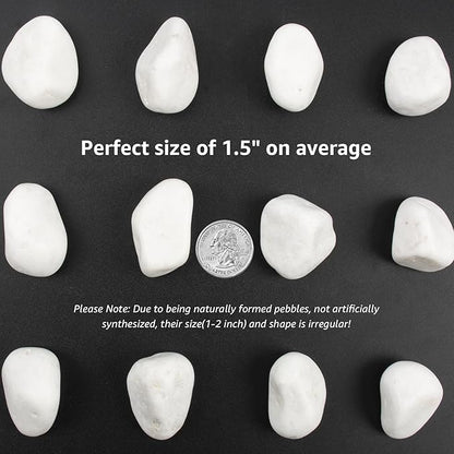 10lbs White River Rocks, Polished Pebbles for Plants, Garden, 1-2 Inch Decorative Stones, Ideal for Fish Tanks, Vases, Crafting, and Landscaping (Weight : 10 LB, Pure White)