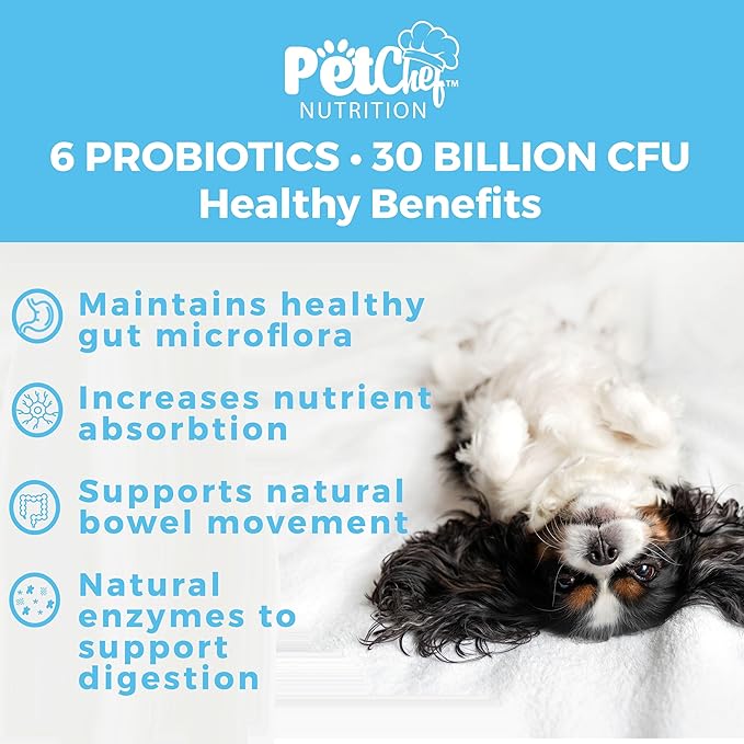 Pet Chef Dog Probiotics: Cannine Gut Issues? Smelly Breath, Runny Eyes, Paw Licking. Imrove Dog Digestion Health. Multi Strain Pre & Probiotics for Dogs Fixes Poop Issues. 140ct Best Value!