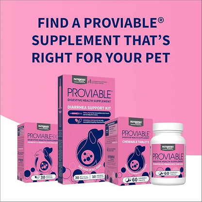 Nutramax Proviable Probiotics for Dogs, Daily Digestive Health Supplement with Multiple Strains of Bacteria, Dog Probiotics Plus Prebiotics, 60 Chewable Tablets