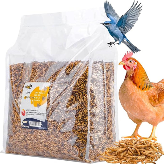 RANZ 5LBS Non-GMO Dried Mealworms for Chickens, High Protein Meal Worms, Premium Chicken Feed, Perfect Bird Food and Chicken Treats, Whole Large Mealworms for Wild Birds, Ducks, Fish