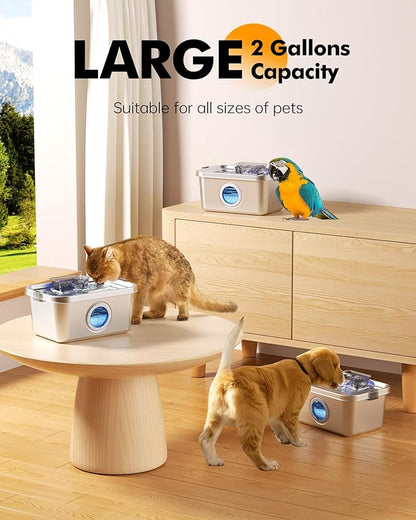 Cat & Dog Water Fountain, 2 Gallon 304 Food Grade Stainless Steel Pet Water Fountain, Ultra Quiet Dog Water Bowl Dispenser, Safety Lock, 3 Replacement Filters, Smart Water Pump Protection