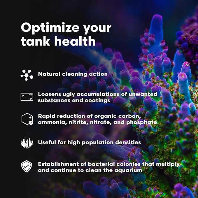 Brightwell Aquatics MicroBacter Clean - Microbial Culture & Enzyme Blend Fish Tank Cleaner - Cleans Live Rock Surfaces for Saltwater Fish Habitats - Aquarium Water Treatments, 8.45 fl oz