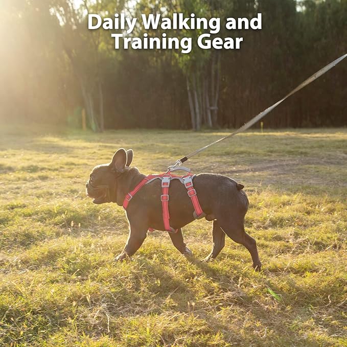 Escape Proof Dog Harness, No Pull Reflective Harness with Lift Handle, Adjustable Pet Vest with Front and Back Leash Clips for Small Medium Large Dogs Walking Hiking Training (Red,L)